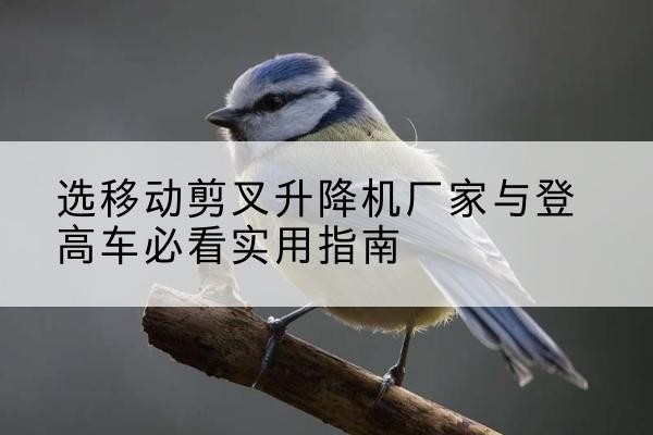 科尔沁左翼中旗电动升降机厂家-选移动剪叉升降机厂家与登高车必看实用指南