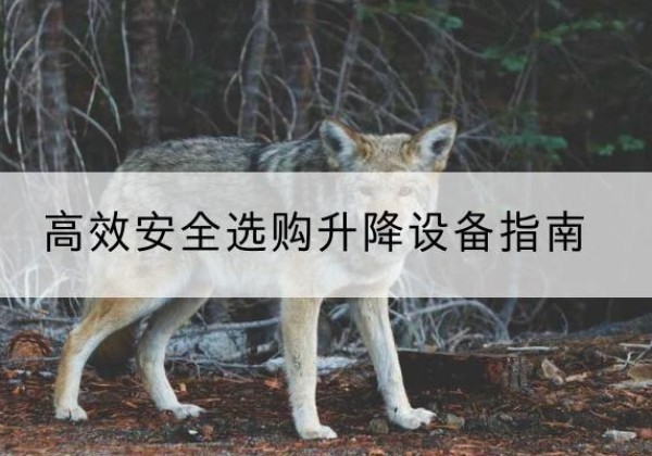 科尔沁左翼中旗升降货梯厂家推荐-*安全选购升降设备指南